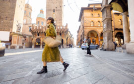 Le Due Torri di Bologna: simboli verticali di una città medievale