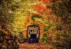 È pronto a ripartire il Treno del Foliage: un viaggio tra i colori dell’autunno tra Italia e Svizzera
