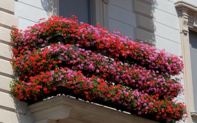 Cagliari. Villanova si fa bella: al via il concorso “Balconi fioriti”