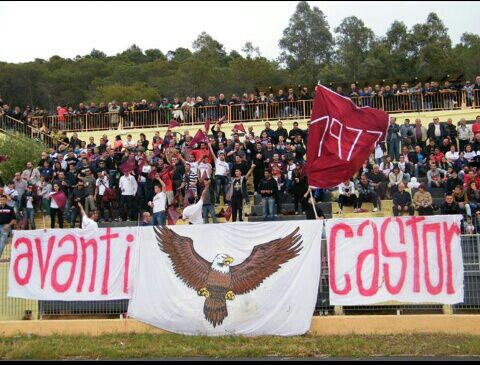 tribuna castor