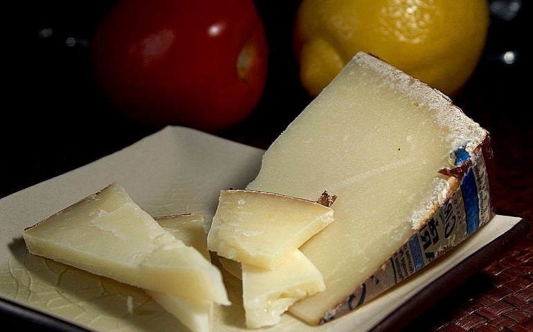 pecorino