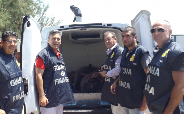 Cagliari: la finanza sequestra 1200 kg di tonno rosso