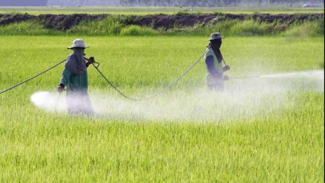 Operazione Alga avvelenata. Pesticidi venduti in Sardegna come fertilizzanti biologici