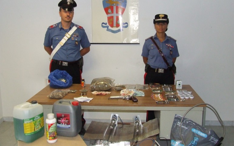 Coltivazione e spaccio di marijuana. Arrestati tre giovani a Sant’Annaresi