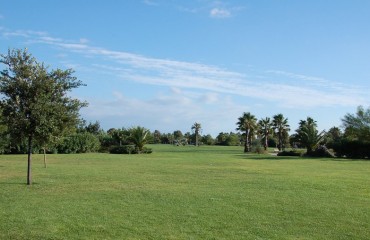 Un'immagine del Parco Terramaini