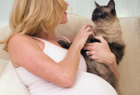 Toxoplasmosi? La veterinaria spiega: “Scagioniamo il gatto”