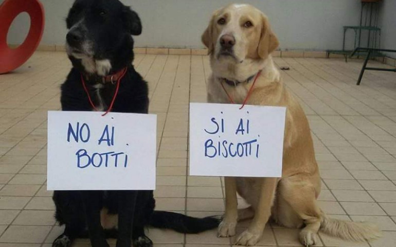 Quartu Sant’Elena dice no ai botti di Capodanno: “Tuteliamo anziani, bambini e animali”