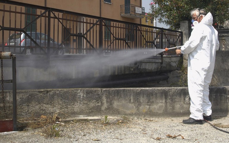 Al via gli interventi di derattizzazione a Cagliari