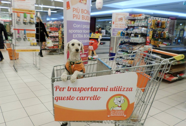 Al supermercato con il cane. A Cagliari ora si può