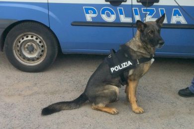 Maxi sequestro di droga a Cagliari. Intercettati 300 kg di hashish