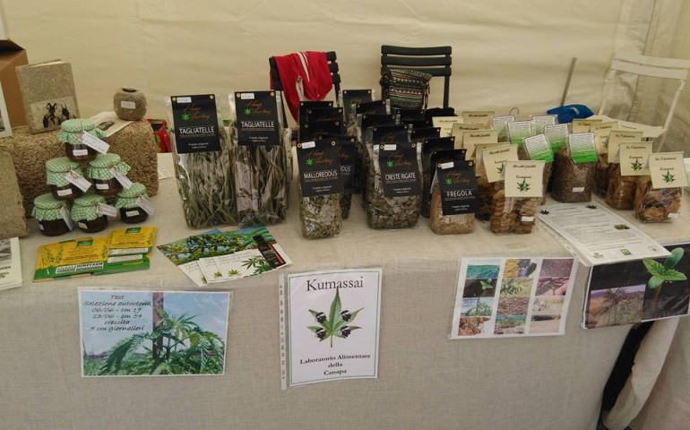 Il successo di Hemp Factory, la filiera sarda che produce i semi di canapa