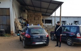 Carabinieri sul luogo dell'accaduto