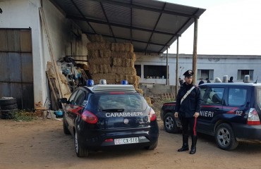 Carabinieri sul luogo dell'accaduto