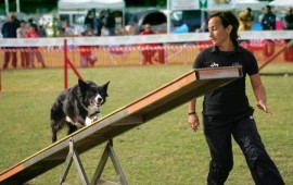 Silvia Secchi col suo cane Joy