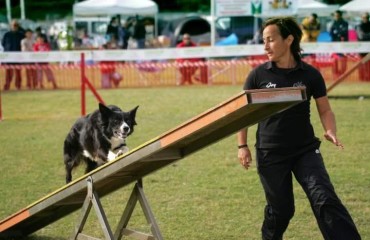 Silvia Secchi col suo cane Joy