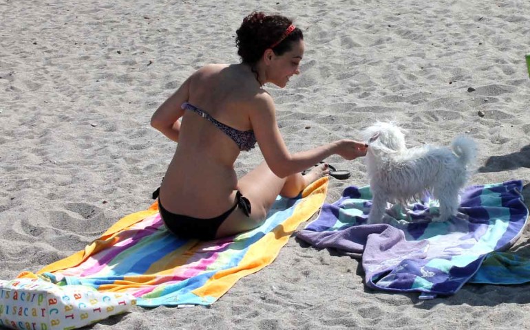 La spiaggia del Poetto di Cagliari (foto Alessandro Pigliacampo)