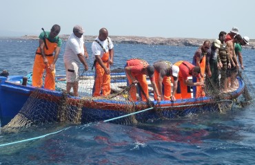 La squadra a lavoro per seguire la migrazione del tonno rosso
