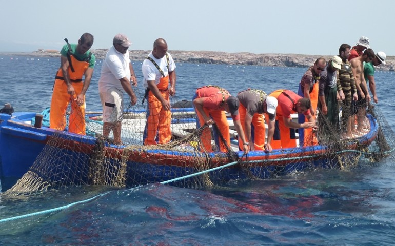 La squadra a lavoro per seguire la migrazione del tonno rosso