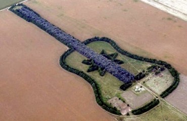 La chitarra di alberi in Argentina