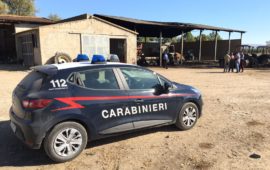 L'auto dei carabinieri davanti all'azienda agricola