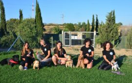 Le ragazze di Amici per la pet