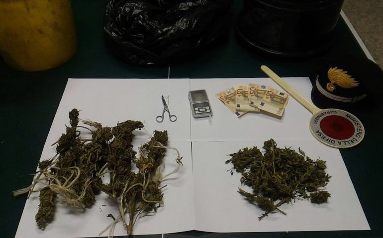 Incensurato arrestato per cannabis nel Sulcis