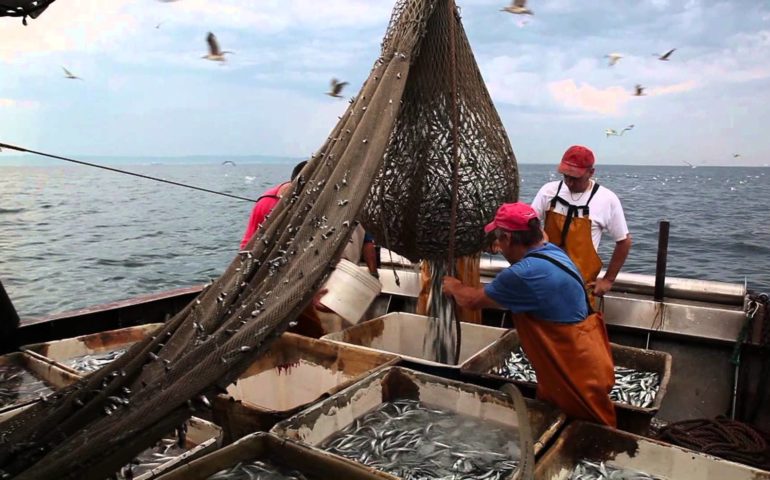 Pesca, 15 bandi per oltre 14 milioni di finanziamenti per i pescatori sardi