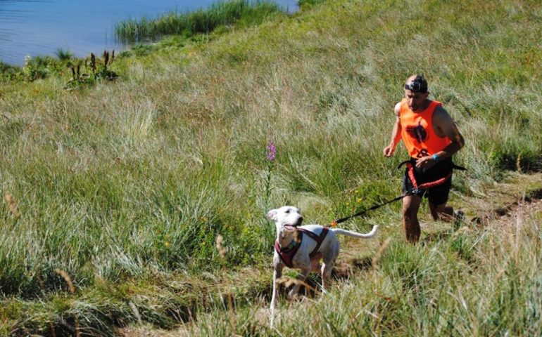 Canicross: correre e fare sport assieme al proprio cane. L’idea di un fotografo appassionato di running