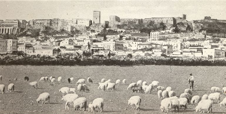 La Cagliari che non c’è più. Pecore e campi 78 anni fa lì dove ora sorge il Mercato di San Benedetto