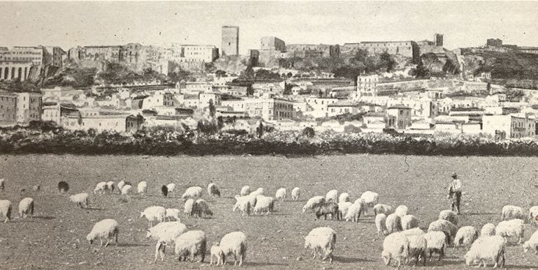 La Cagliari che non c’è più: 1939, pecore e campi lì dove ora sorge il Mercato di San Benedetto