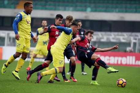 Cagliari, Rastelli a un bivio: il match contro l’Udinese già decisivo per le sorti del campionato