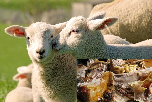 Pasqua 2017, l’agnello sardo Igp piatto immancabile sulla maggior parte delle tavole sarde e di tutta Italia