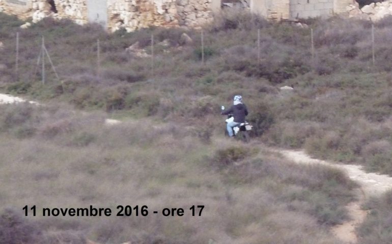 Parco di Molentargius trasformato in pista da cross: la denuncia di 2 associazioni