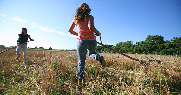 Sardegna. Agricoltura: contributi sino al 70% per gli investimenti delle aziende agricole