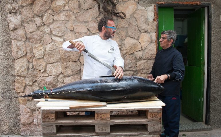 Alla Corte di Luigi Pomata, per assaggiare il tonno più buono del mondo