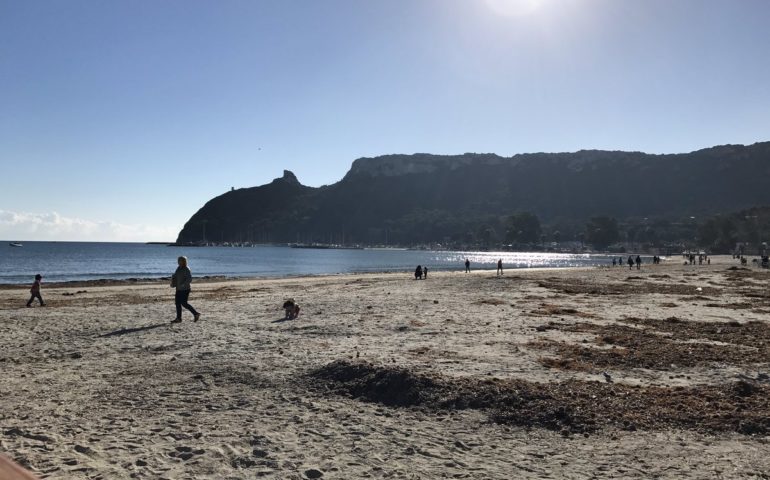 La foto: l’inverno cagliaritano in una foto di Federico Atzori