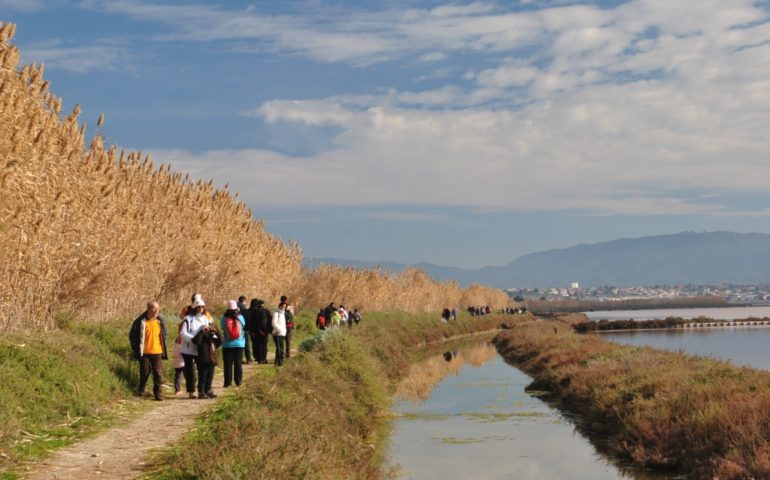 «No al “parco minestrone”». Il GrIG contro l’istituzione di un parco unico fra Sella del diavolo, Santa Gilla e Molentargius