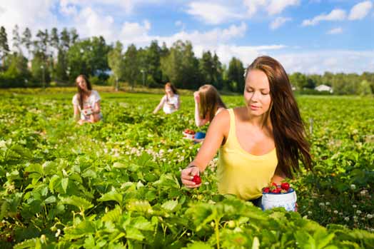 Sostegno ai giovani agricoltori, nuovi bandi regionali