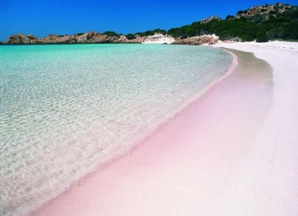 Il comitato Maddalena nel cuore: “La spiaggia rosa di Budelli diventi monumento nazionale”