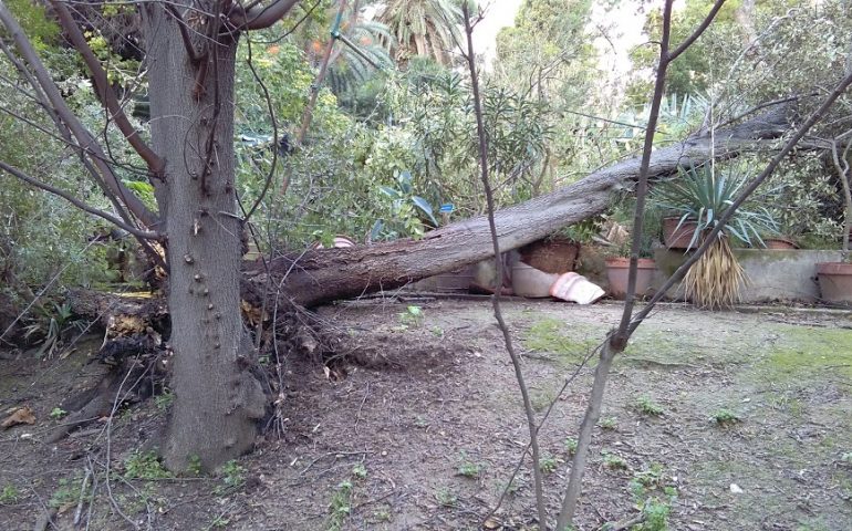 Dopo i danni causati dal maltempo riapre l’Orto Botanico. Con una novità: tutti i residenti avranno diritto a una riduzione