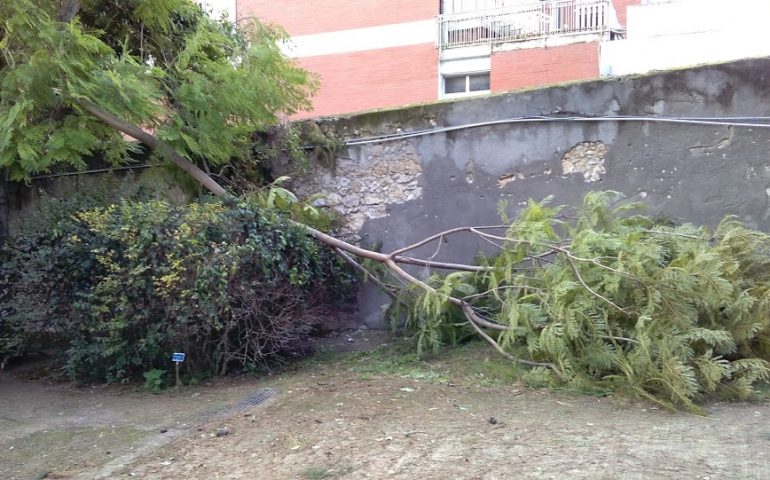Maltempo a Cagliari, danni ovunque: l’Orto Botanico in ginocchio