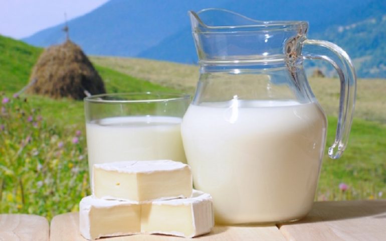Coldiretti. Storico via libera all’indicazione di origine obbligatoria per il latte e i prodotti lattiero-caseari