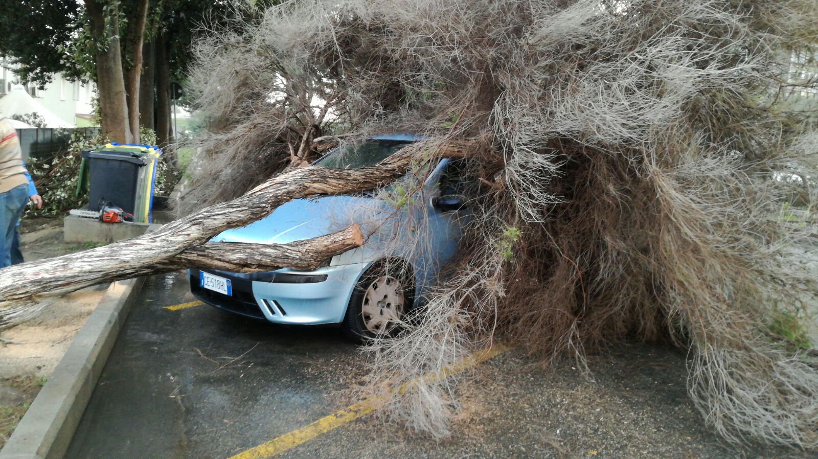 Albero caduto su Fiat Punto in via Peretti