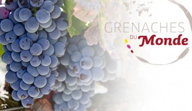 “Grenaches du Monde 2017”. Ancora pochi giorni per inviare le adesioni al concorso enologico