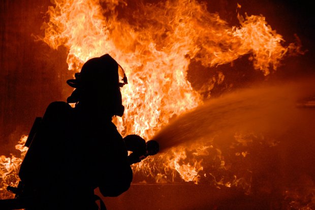 Fiamme uccidono cinque asinelli a Sestu: incendio di origine dolosa