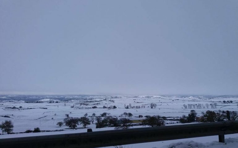 La foto dei lettori. Magico paesaggio innevato nelle campagne tra Nurri e Orroli in uno scatto di Federica Pisano