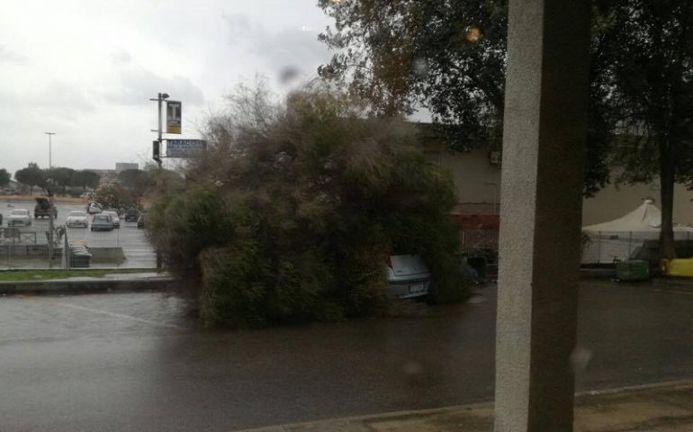 La fotonotizia: forte vento in Sardegna. Un albero cade su una vettura in via Peretti