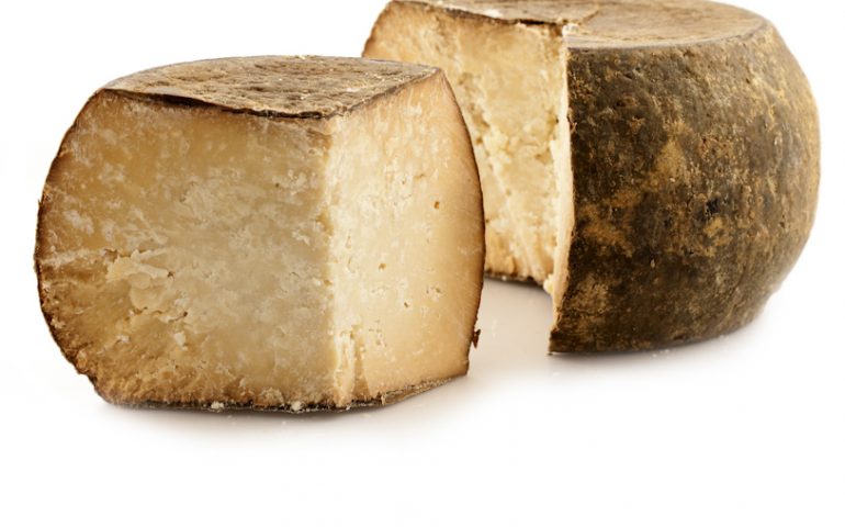 I formaggi sardi tra i più buoni del mondo: tre prodotti isolani sbancano il Concorso Internazionale BIOCASEUS