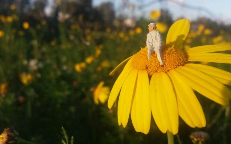 La foto del giorno. “L’eleganza dell’aria di primavera”, scatto del creativo Davide Volponi