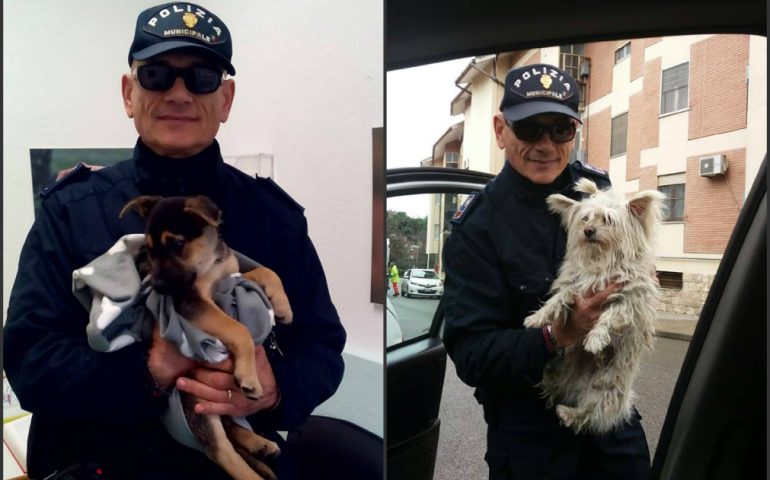 Cagliari, la polizia municipale ritrova due cani: uno yorkshire adulto e un meticcio cucciolo